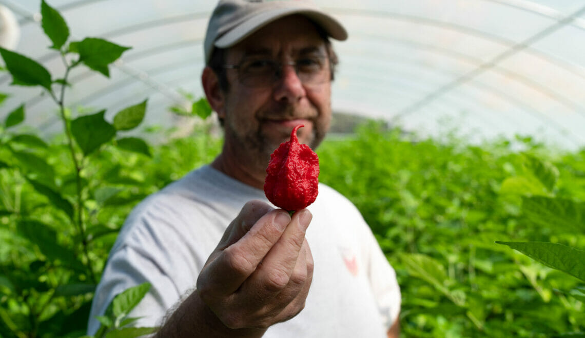 Ed Currie makes the hottest pepper